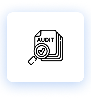 Perform Weekly/ Fortnightly / Monthly Audits